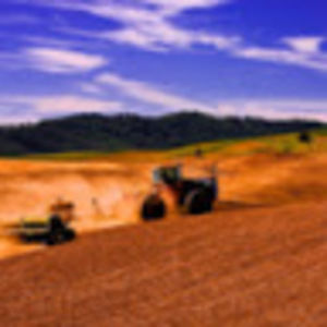 Meet your Posher, Benjamin